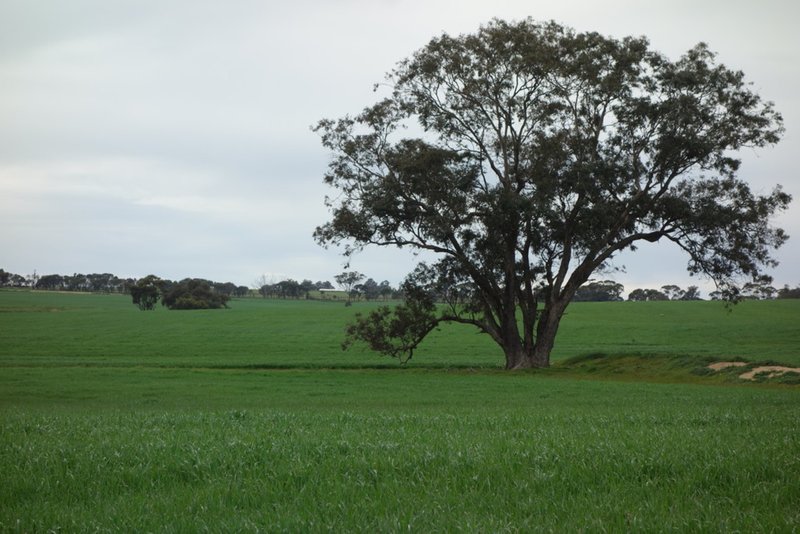 Photo - The Springs 170 Groves Road, Dumberning WA 6312 - Image 26