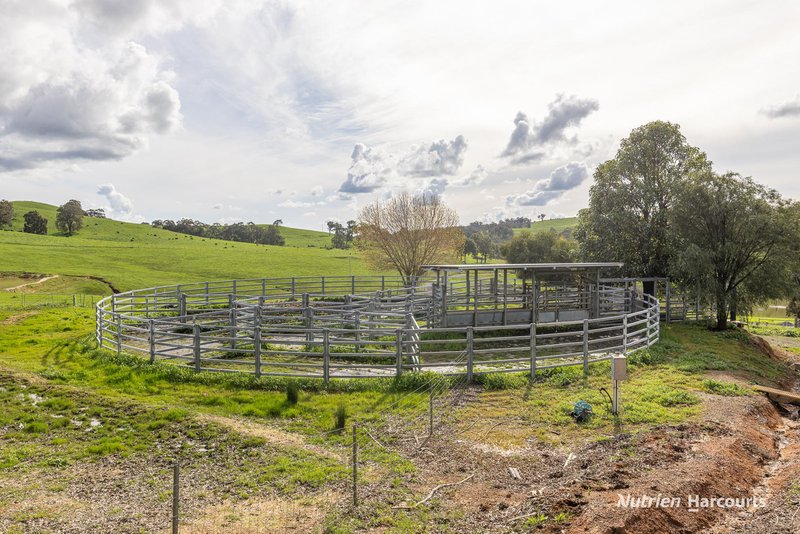 Photo - . Thomson Brook , Thomson Brook WA 6239 - Image 16