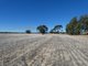 Photo - . Three Bridges Road, Lower Norton VIC 3401 - Image 10