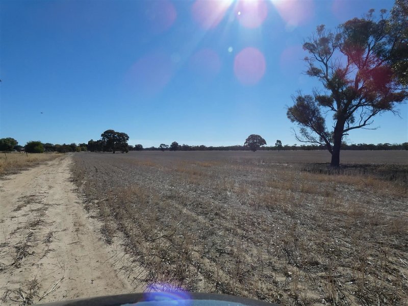 Photo - . Three Bridges Road, Lower Norton VIC 3401 - Image 19