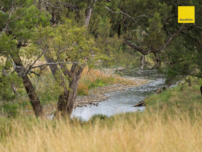 Photo - 'Toowong' Roseneath Lane, Inverell NSW 2360 - Image 31