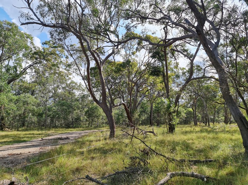 Photo - Torbanlea QLD 4662 - Image 2