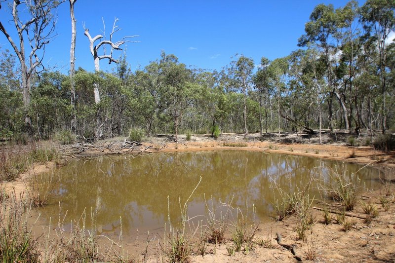 Photo - Torbanlea QLD 4662 - Image 6