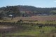 Photo - 'Torwoodlea' 1023 Greenmount-Hirstvale Road, Hirstglen QLD 4359 - Image 2