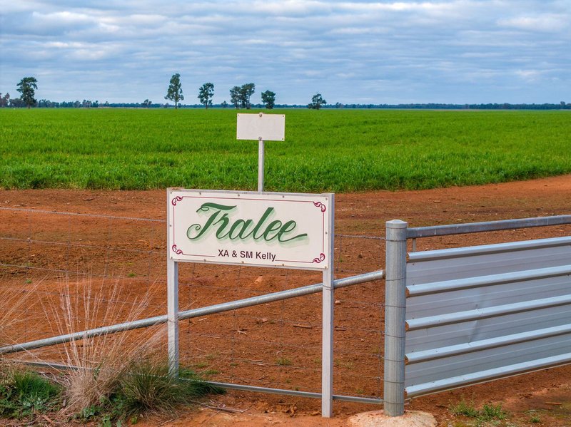 'Tralee'  690 Matong North Road, Matong NSW 2652