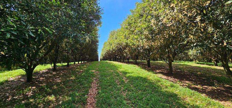 Photo - Tregeagle NSW 2480 - Image 9