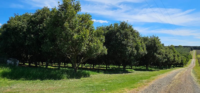 Photo - Tregeagle NSW 2480 - Image 18