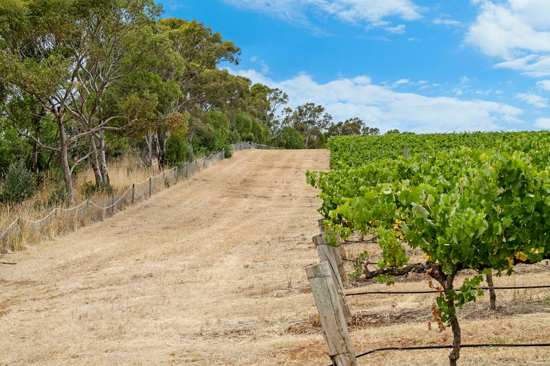 Photo - 'Trimbolis' Medlow Road, Uleybury SA 5114 - Image 9