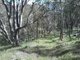 Photo - Tuena NSW 2583 - Image 4