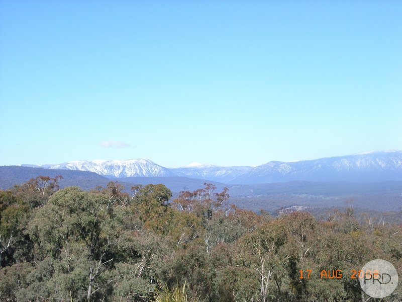 Photo - Tumbarumba NSW 2653 - Image 4