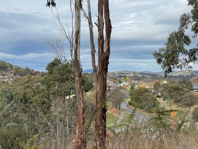 Photo - Tumbarumba NSW 2653 - Image 3