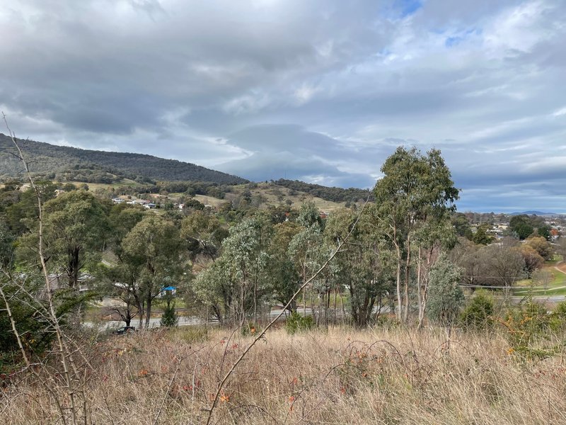 Photo - Tumbarumba NSW 2653 - Image 6