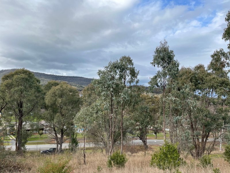 Photo - Tumbarumba NSW 2653 - Image 6