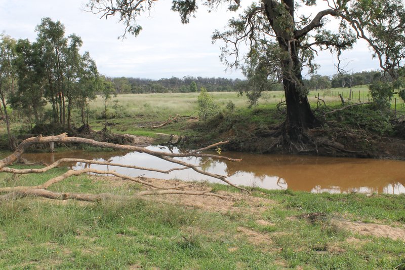 Photo - Turill NSW 2850 - Image 9