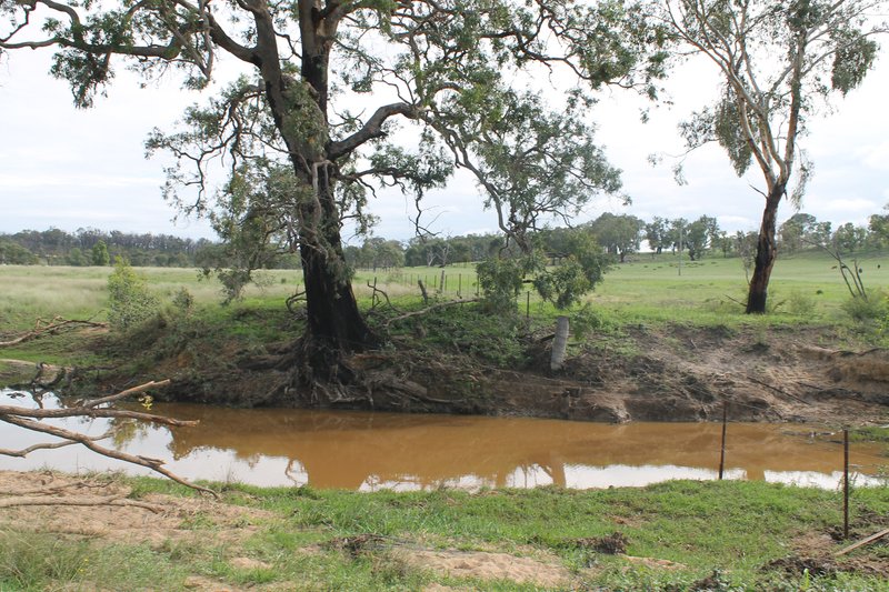 Photo - Turill NSW 2850 - Image 10