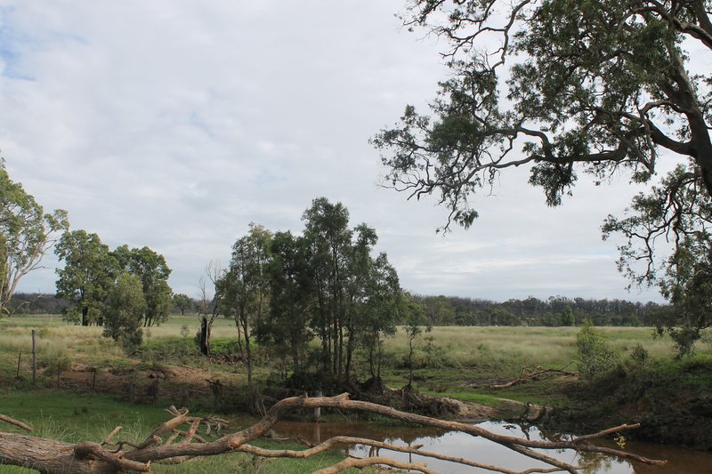 Photo - Turill NSW 2850 - Image 11