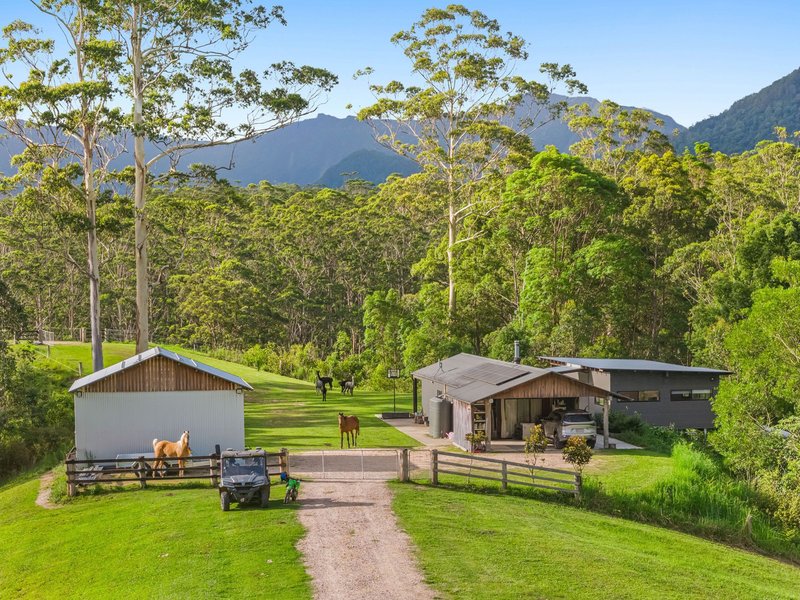 Photo - Tyalgum NSW 2484 - Image 4