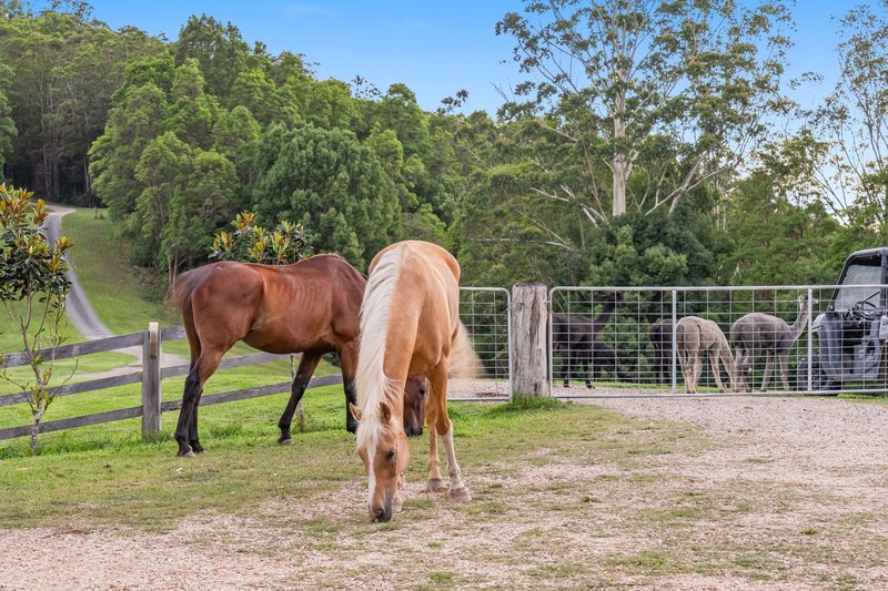 Photo - Tyalgum NSW 2484 - Image 6