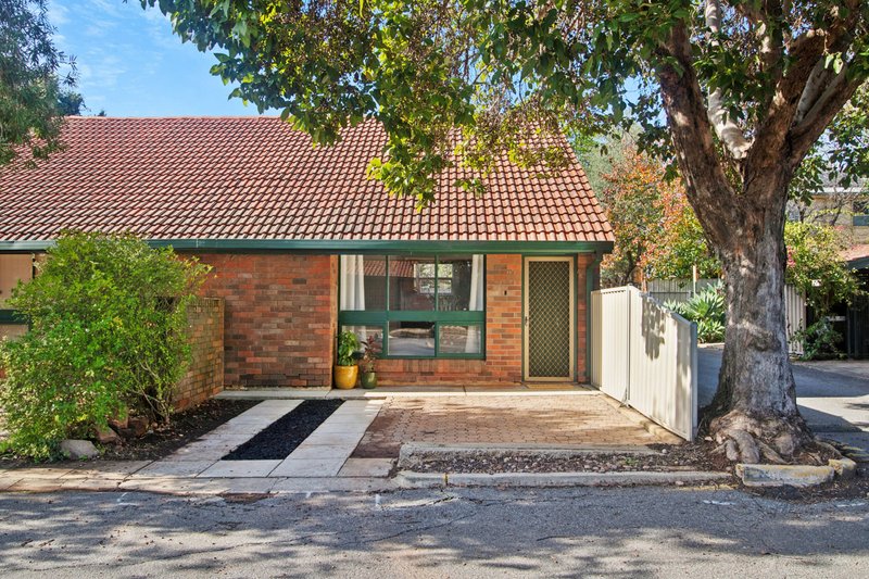 Photo - Unit 19/58 Portrush Road, Payneham SA 5070 - Image 1
