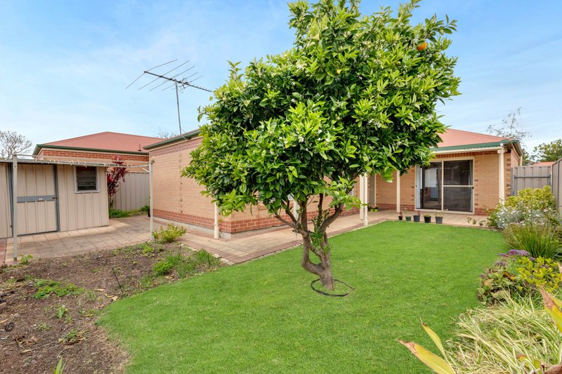 Photo - Unit 2, 58 Avenue Road, Paradise SA 5075 - Image 10