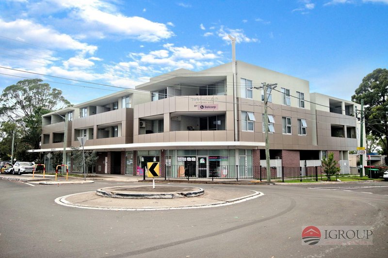 Unit 226/203 Birdwood Road, Georges Hall NSW 2198