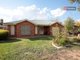 Photo - Unit 2/45 Jack Avenue, Mount Austin NSW 2650 - Image 1