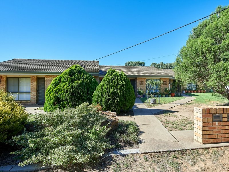 Photo - Unit 3/10 Wewak Street, Ashmont NSW 2650 - Image 11