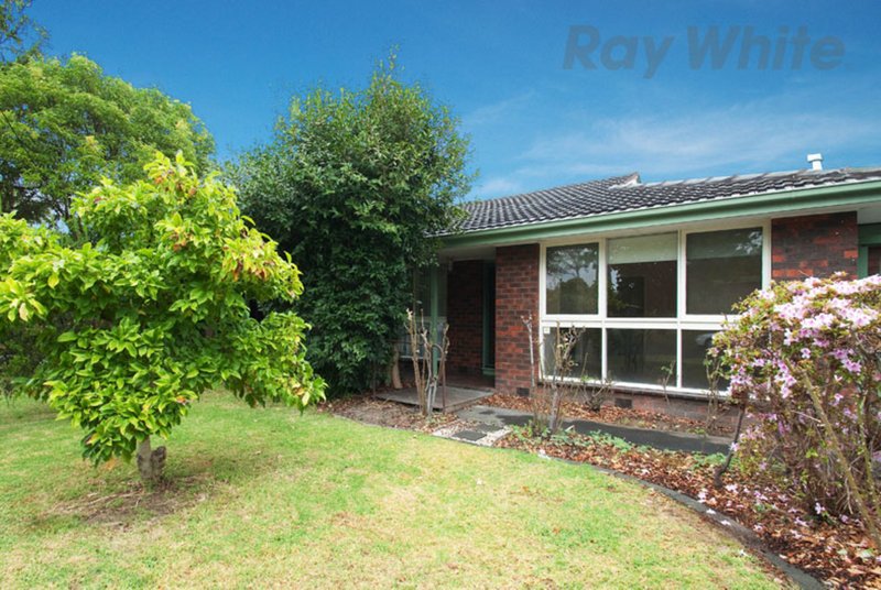 Unit 3/52 Mt Dandenong Rd Ringwood East VIC 3135 Real Estate Industry