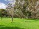 Photo - Unit 6/8 Heron Place, Maddington WA 6109 - Image 16