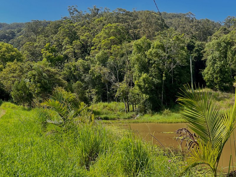 Photo - Upper Burringbar NSW 2483 - Image 7