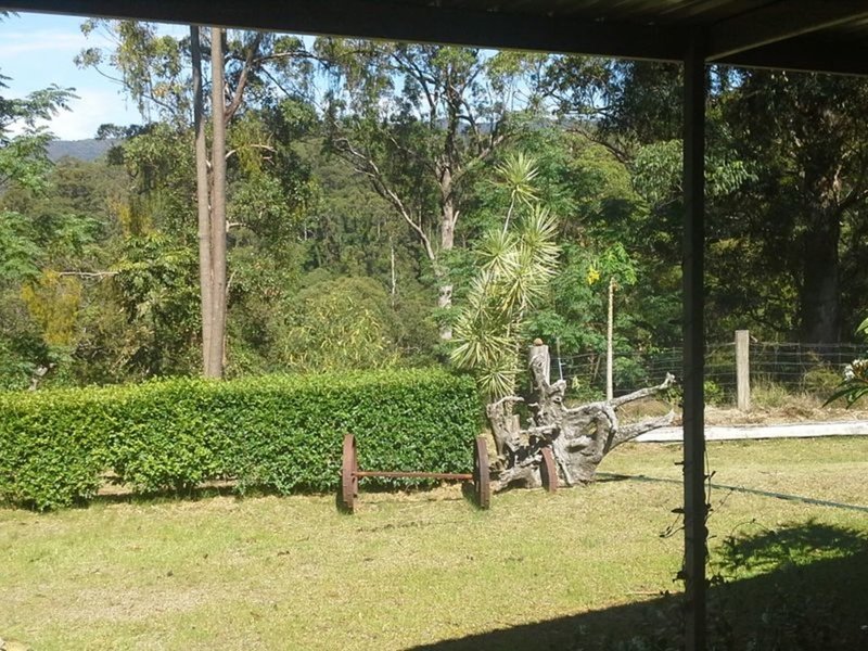 Photo - Upper Lansdowne NSW 2430 - Image 8