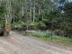 Photo - Upper Orara NSW 2450 - Image 2