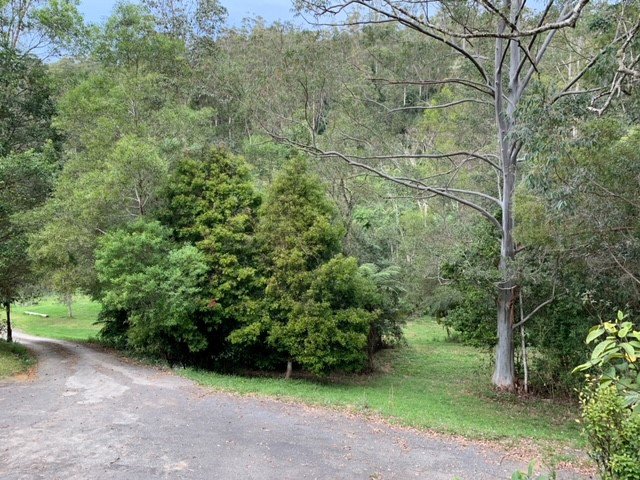 Photo - Upper Orara NSW 2450 - Image 12