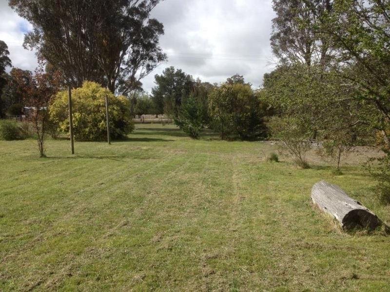 Photo - Uralla NSW 2358 - Image 14