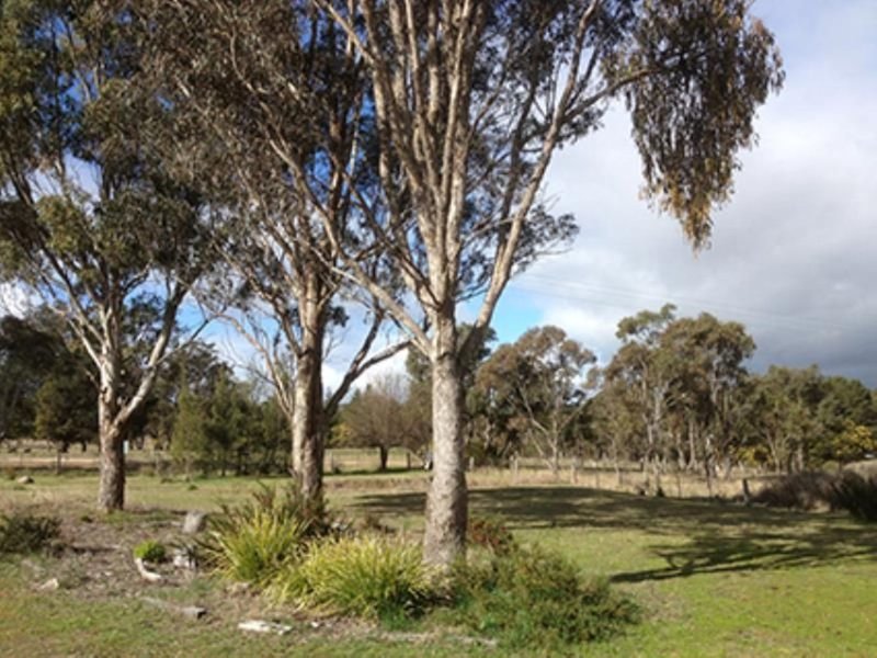 Photo - Uralla NSW 2358 - Image 17