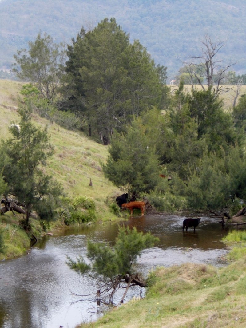 Vacy NSW 2421