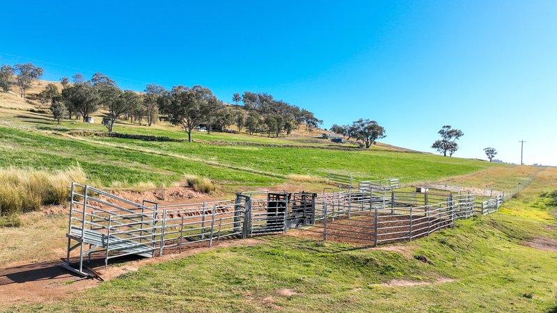 Photo - 'Valleyview' Monteray Road, Tamworth NSW 2340 - Image 14