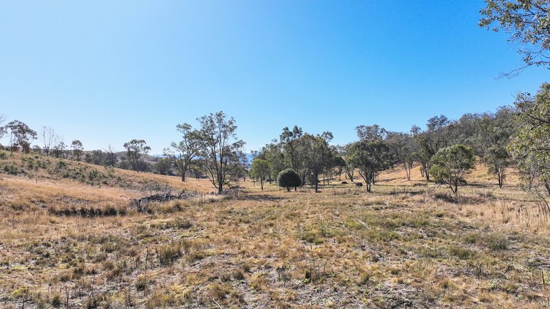 Photo - 'Valleyview' Monteray Road, Tamworth NSW 2340 - Image 20