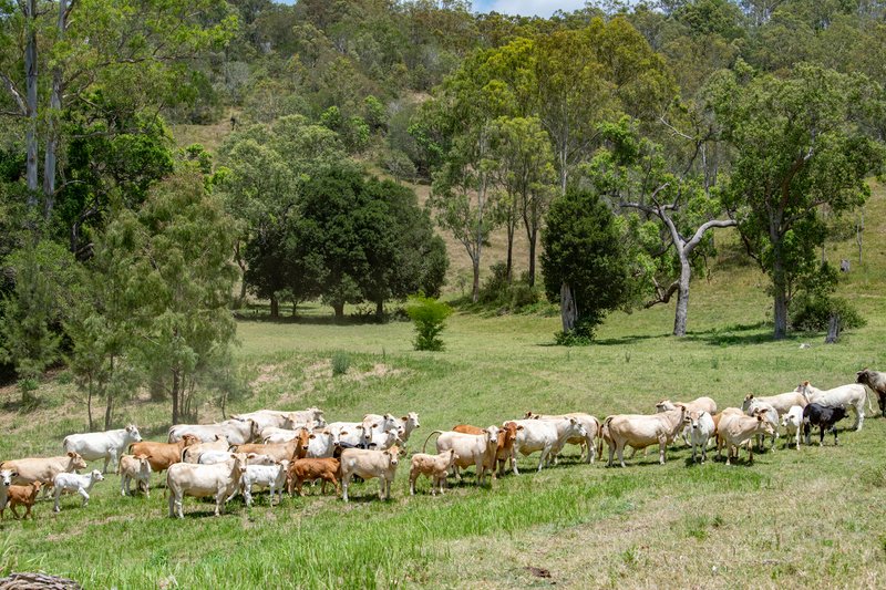 Photo - Various Lots Lake Manchester Road, Lake Manchester QLD 4306 - Image 34