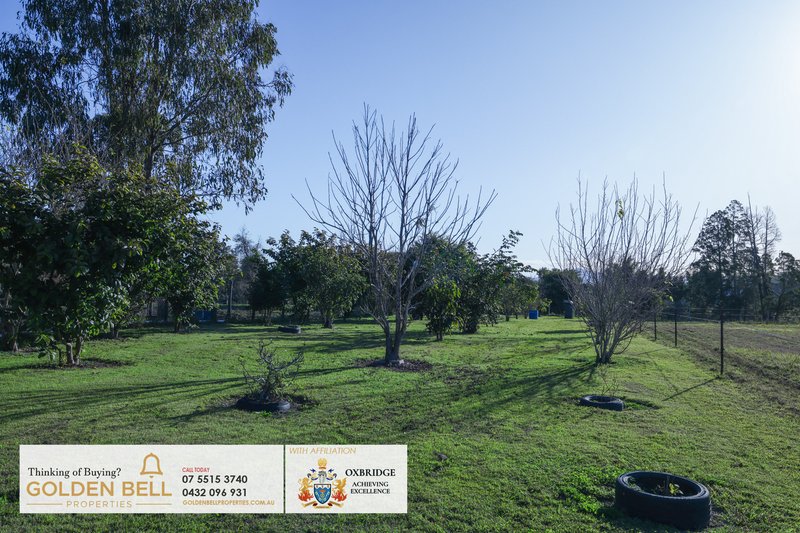 Photo - Veresdale Scrub QLD 4285 - Image 18