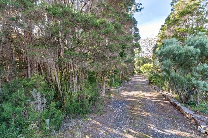 Photo - Victor Street North, Latrobe TAS 7307 - Image 3