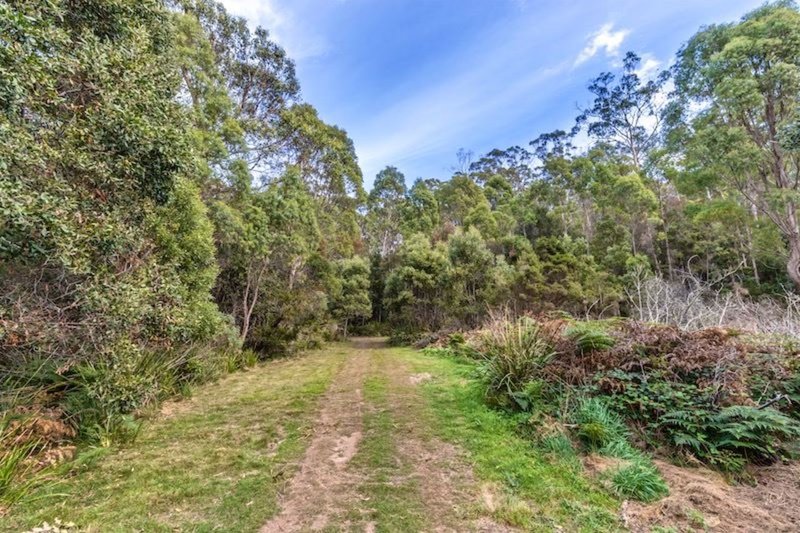 Photo - Victor Street North, Latrobe TAS 7307 - Image 15