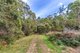 Photo - Victor Street North, Latrobe TAS 7307 - Image 15