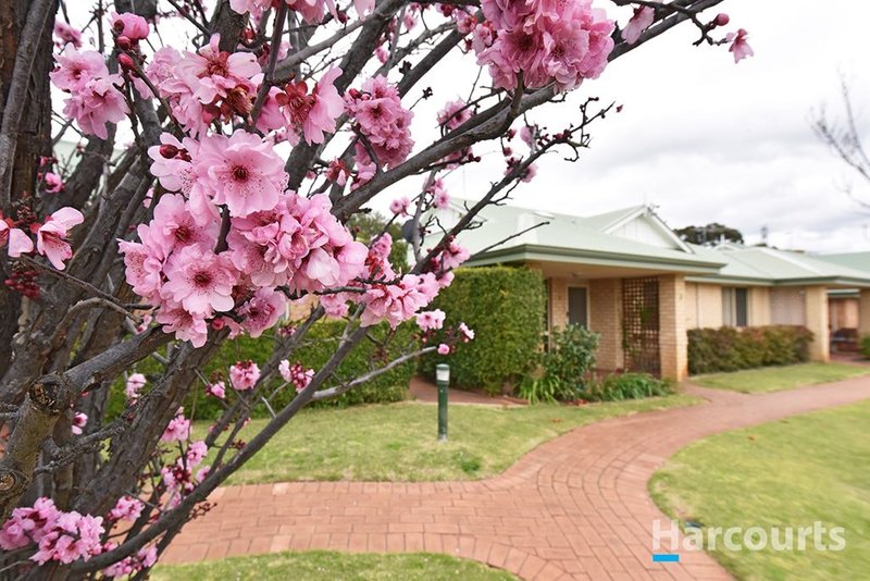 Photo - Villa 8/1 Wendouree Road, Wilson WA 6107 - Image 14