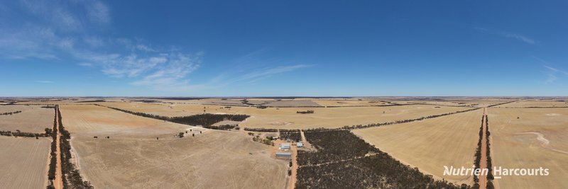 Photo - . Waitavalo Farms , Narembeen WA 6369 - Image 4