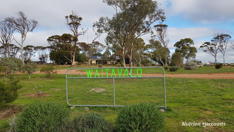 Photo - . Waitavalo Farms , Narembeen WA 6369 - Image 5