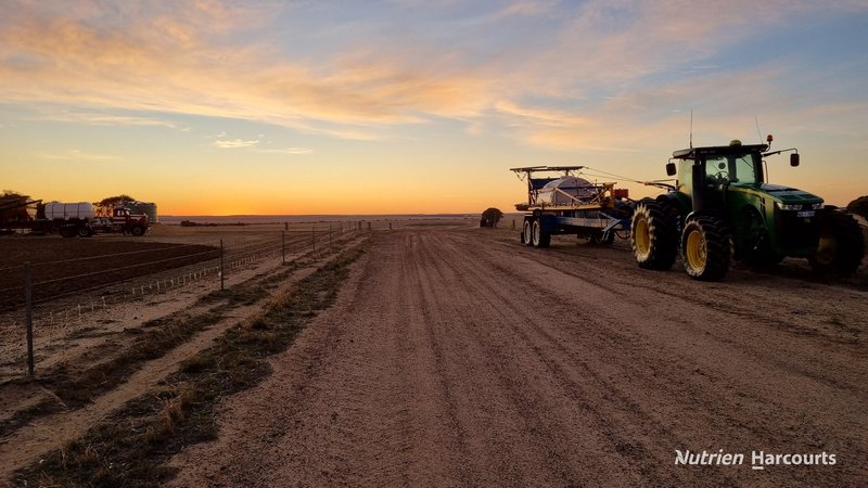 Photo - . Waitavalo Farms , Narembeen WA 6369 - Image 6