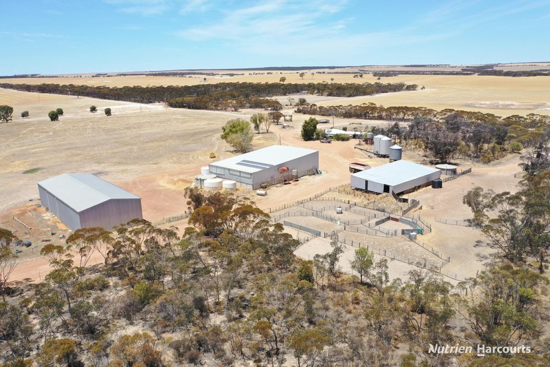 Photo - . Waitavalo Farms , Narembeen WA 6369 - Image 8