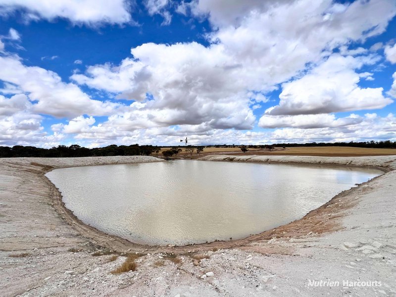 Photo - . Waitavalo Farms , Narembeen WA 6369 - Image 10