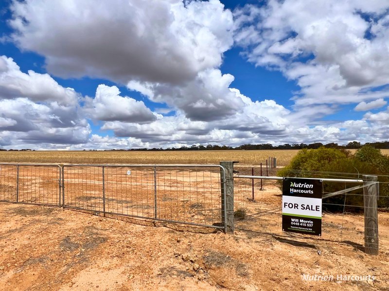 Photo - . Waitavalo Farms , Narembeen WA 6369 - Image 11